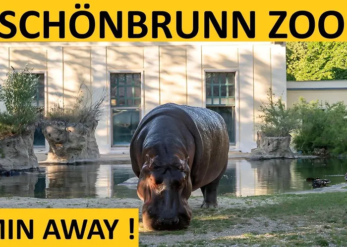 Apartment Schoenbrunn Gardens Vienna